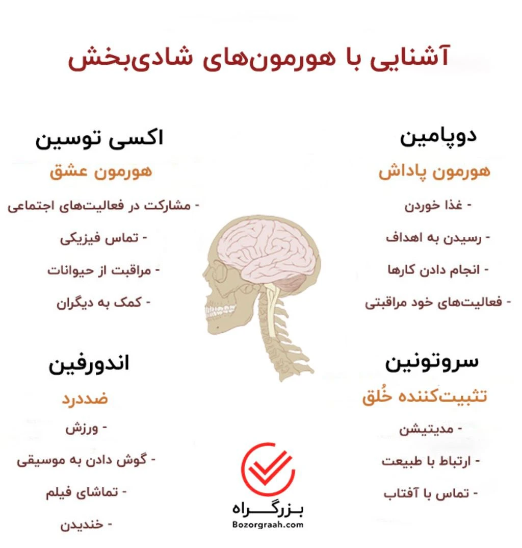 آشنایی با هورمون‌های شادی‌بخش