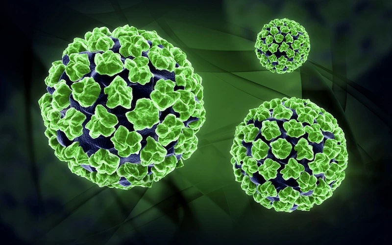 آزمایش HPV در مردان؛ چه کسانی به بررسی نیاز دارند و چه کسانی نه؟