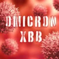 XBB ، زیرسویه ی جدید اُمیکرون