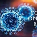 بیانیه who در مورد زیرشاخه های BQ.1 و XBB اُمیکرون