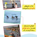 شنای امن ـ استوری‌ها