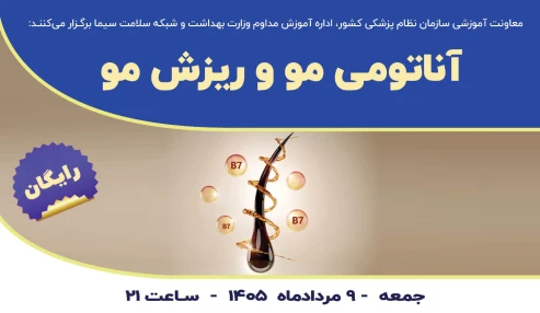 آناتومی مو و ریزش مو