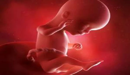 وبینار علمی ارزیابی سلامت جنین و آسفیکسی