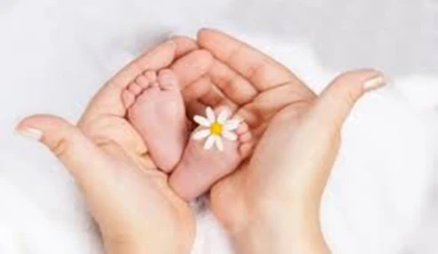وبنیار علمی نازایی و مدیریت آن