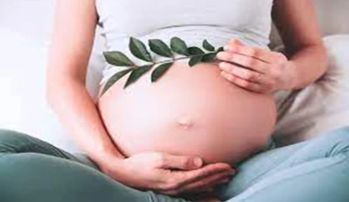 وبینارعلمی عوارض شایع بارداری