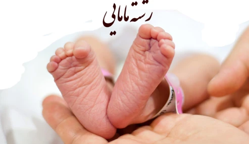 وبینار علمی فوريتهاي مامايي