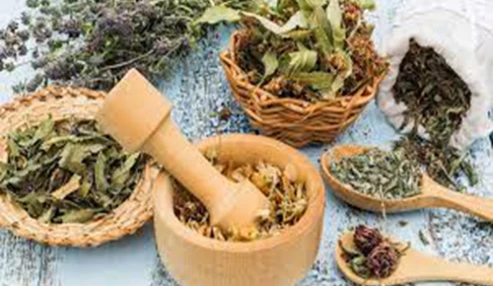 وبینار علمی گیاهان دارویی و فرآورده های گیاهی لاغری