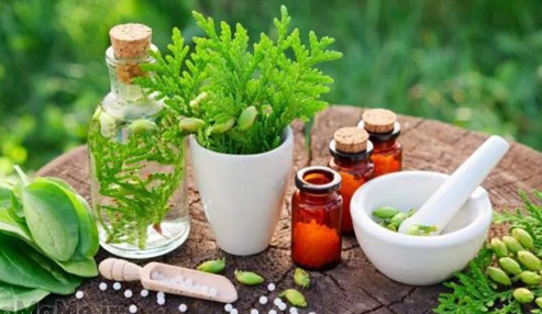 وبینار علمی  مديريت بیماری های گوارش در طب سنتی ایرانی