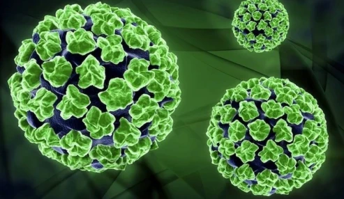 وبینار علمی ویروس پاپیلومای انسانی(hpv)