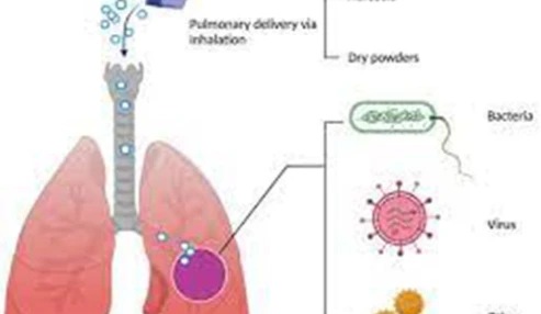 وبینار علمی Lung in neuromusculae disease