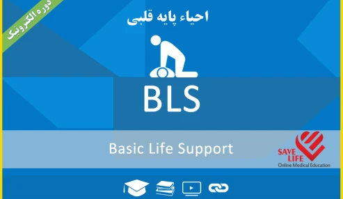 احیاء پایه (BLS)