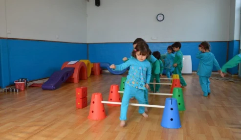 وبینار علمی مداخلات حسی حرکتی و کاربرد تحریک الکتریکی در ADHD