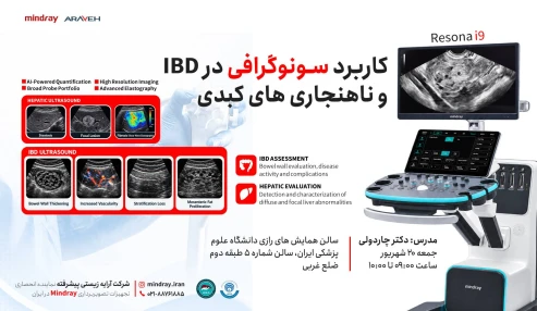 کارگاه کاربرد سونوگرافی در IBD و ناهنجاری های کبدی