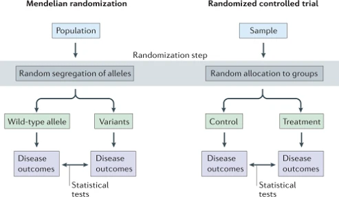 آشنایی با روش تحلیل: Mendelian randomization