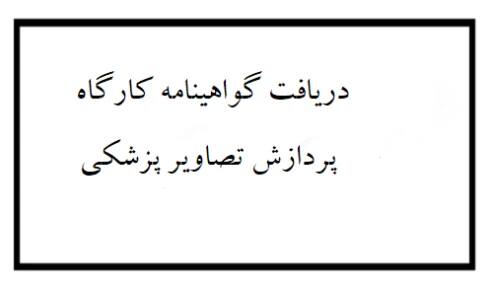 گواهی شرکت در کارگاه عملی پردازش تصاویر پزشکی
