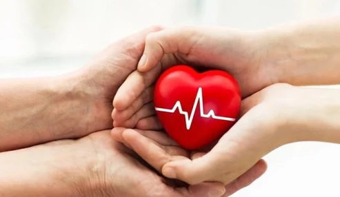 وبینار علمی مرگ مغزی و اهدای عضو