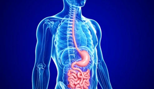 وبینارعلمی تازه‌های تشخیصی و درمانی در سرطان‌‌های گوارش