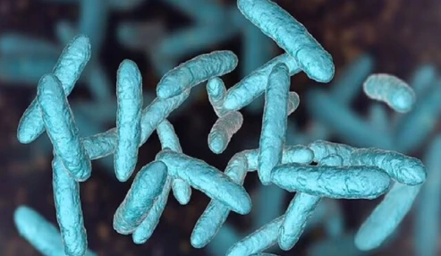 وبینار علمی پروبیوتیک و بیماری های روده ای