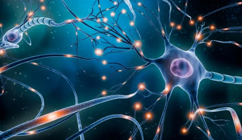 وبینار علمی سلول های بنیادی و بیماری های خود ایمن