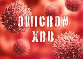 XBB ، زیرسویه ی جدید اُمیکرون